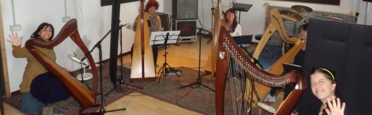 Il Cerchio delle Fate in sala di registrazione