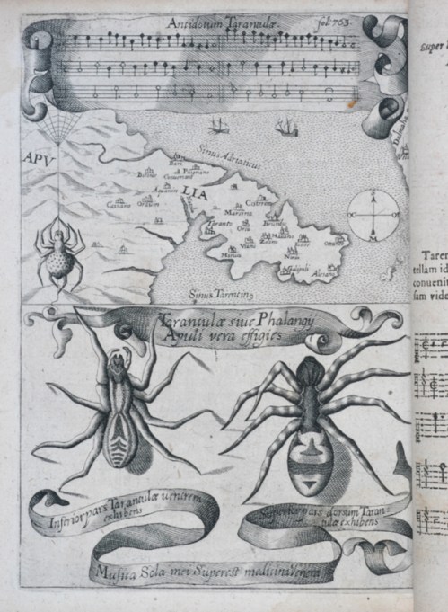 Antidotum Tarantulae : la danza terapeutica per guarire dal veleno del morso della tarantola - stampa del XVII secolo