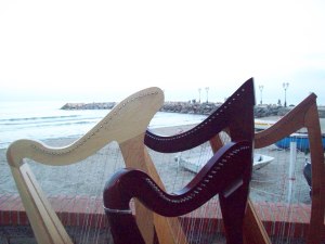 arpe .... come vele spiegate accanto alle barche!