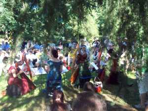 tra le fronde: concerto per arpe e cicale!