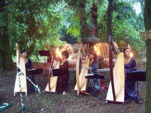 scende la sera, si accendono le torce, inizia la musica...