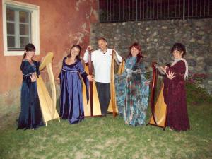 ensemble di arpe celtiche