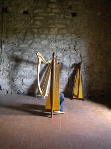 le nostre arpe al Castello del Piagnaro - Pontremoli (MS)