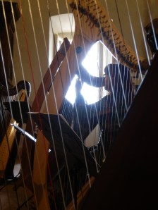 Patrizia Borromeo e il Cerchio delle Fate a Rossena (RE)