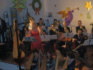 Il Cerchio delle Fate a Limbiate (MB) 19  DIcembre 2014