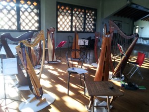 Incontro d'arpe in cascina Regina Magenta (MI)