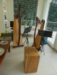 Le arpe del Cerchio delle Fate a Lerici (SP) Festa di compleanno privata