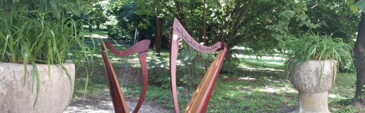 arpe celtiche a palazzo ...