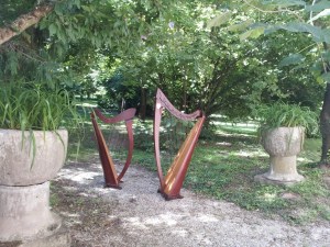 arpe celtiche a palazzo ...