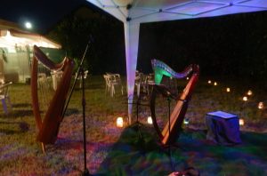 Le arpe del Cerchio delle Fate