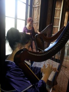 Ensemble di arpe celtiche in Villa Tittoni, Desio
