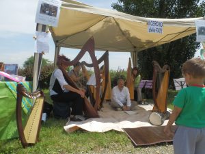 Ensemble di arpe celtiche e voci - Patrizia Borromeo e ilcerchio delle fate a Varedo (MB) 12 Giugno 2016