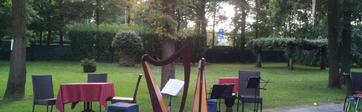 Le arpe celtiche del Cerchio delle Fate al Roccolo di Lazzate (MB)