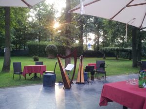 Le arpe celtiche del Cerchio delle Fate al Roccolo di Lazzate (MB)