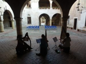 Ensemble di arpe celtiche e voci