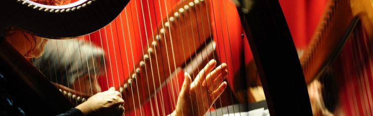 La foto è stata scattata dal fotografo Luca Chelli di Monza durante la serata AVIS presso l'auditorium di Triante il 29 Novembre 2019